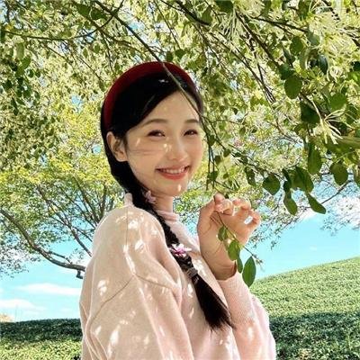 功夫小兔侠 在线观看